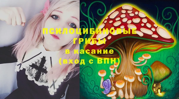 прущая мука Нея