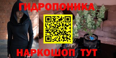 гидропоника Канаш