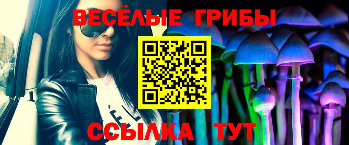 Галлюциногенные грибы GOLDEN TEACHER Муравленко