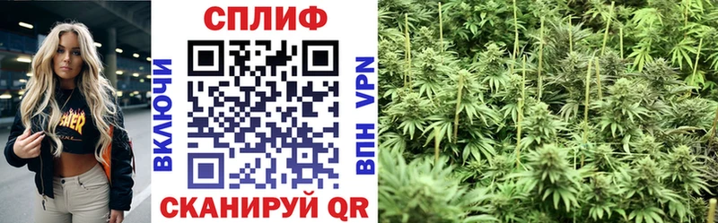 МАРИХУАНА семена Муравленко